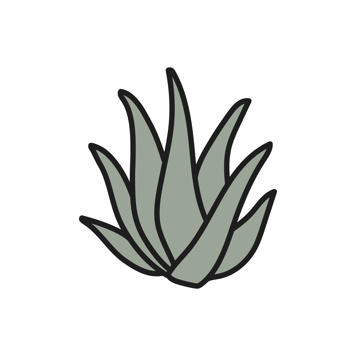Aloe Vera ingredient icon