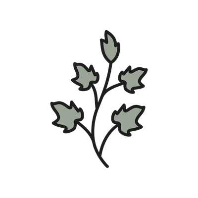 Hedera Helix ivy leaf icon