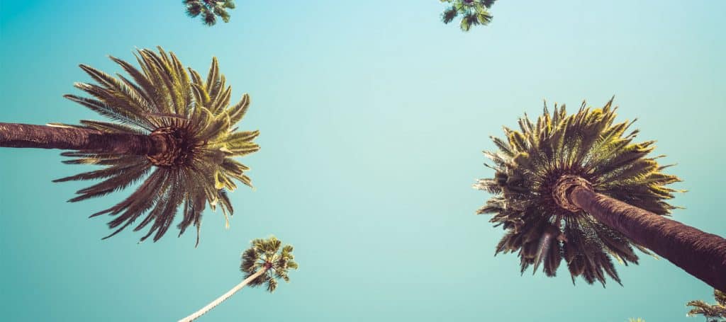 Best Spray Tanning Products