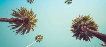 New to sjolie blog