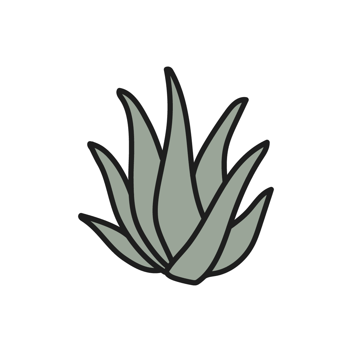 Aloe Vera ingredient icon