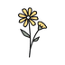 Chamomilla Flower Extract ingredient icon - calming and soothing antioxidant