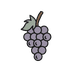 Grape Seed Extract antioxidant anti-inflammatory icon