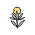 Safflower Seed Oil ingredient icon - lightweight skin hydration