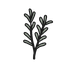 Sage Extract ingredient icon - balances oil and protects against stressors